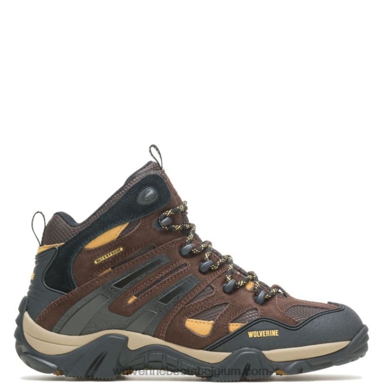 Hommes botte sauvage FLPHX187 Wolverine marron/or