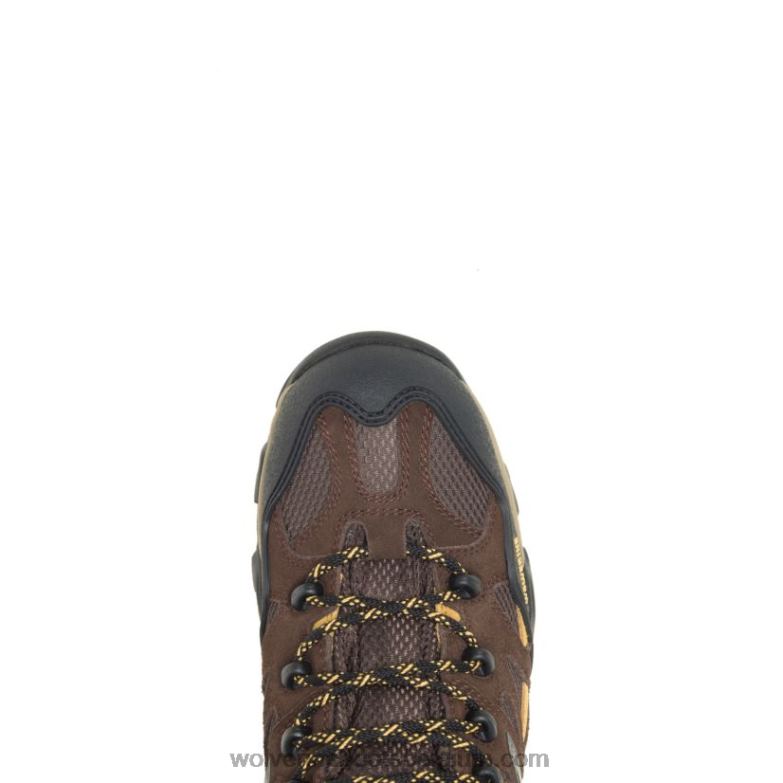 Hommes botte sauvage FLPHX187 Wolverine marron/or