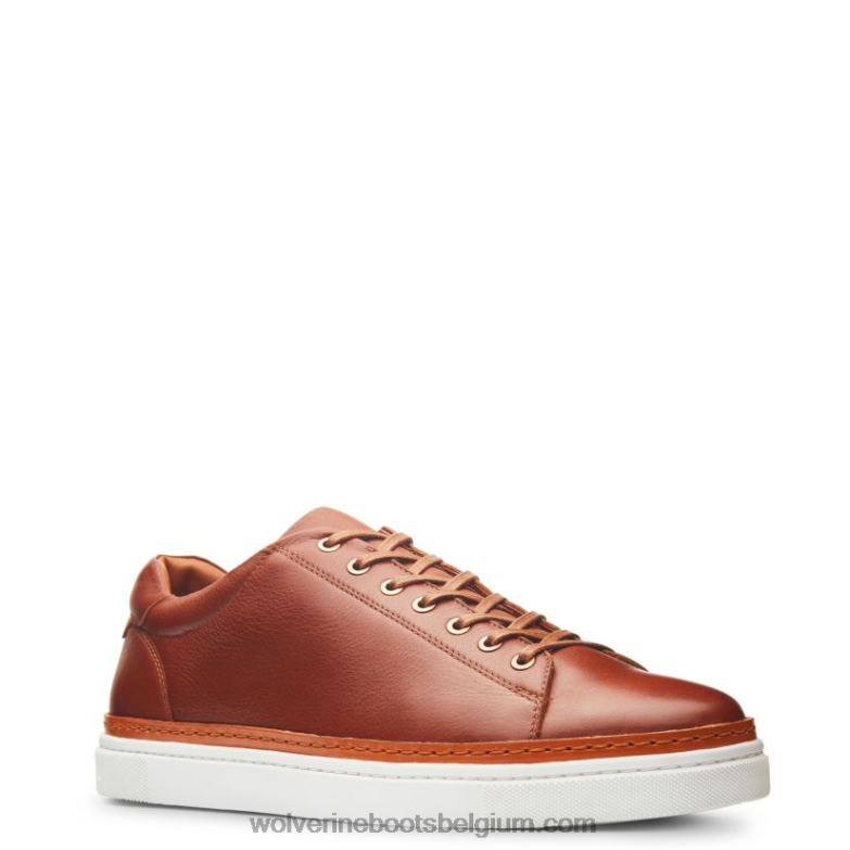 Hommes baskets basses blvd FLPHX177 Wolverine Cognac