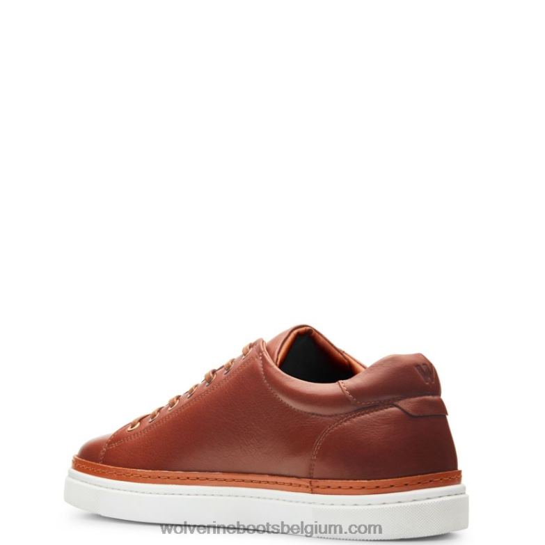 Hommes baskets basses blvd FLPHX177 Wolverine Cognac